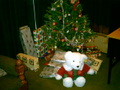 Perth Christmas Tree 3.jpg